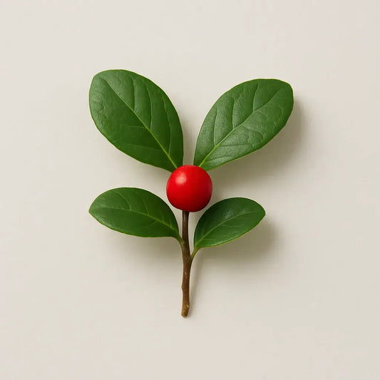 Top 7 reasons we use Wintergreen in our DMSO gels
